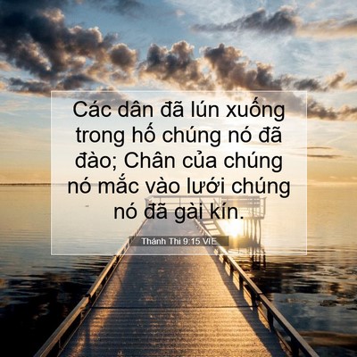 Picture 07 - Thánh Thi 9:15 VIE - Các dân đã lún xuống trong hố chúng nó - Bible Verse Picture