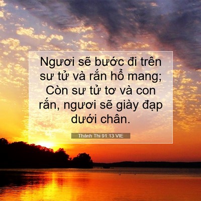 Picture 07 - Thánh Thi 91:13 VIE - Ngươi sẽ bước đi trên sư tử và rắn - Bible Verse Picture
