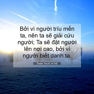 Picture 07 - Thánh Thi 91:14 VIE - Bởi vì người tríu mến ta, nên ta sẽ - Bible Verse Picture