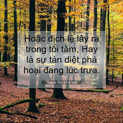 Picture 07 - Thánh Thi 91:6 VIE - Hoặc dịch lệ lây ra trong tối tăm, Hay - Bible Verse Picture
