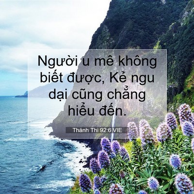 Picture 07 - Thánh Thi 92:6 VIE - Người u mê không biết được, Kẻ ngu - Bible Verse Picture
