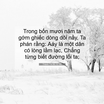 Picture 07 - Thánh Thi 95:10 VIE - Trong bốn mươi năm ta gớm ghiếc dòng - Bible Verse Picture