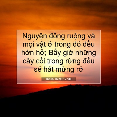 Picture 07 - Thánh Thi 96:12 VIE - Nguyện đồng ruộng và mọi vật ở - Bible Verse Picture