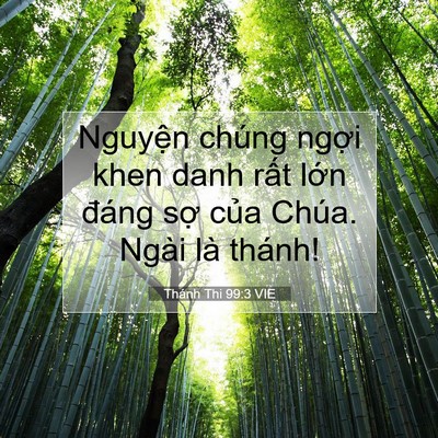 Picture 07 - Thánh Thi 99:3 VIE - Nguyện chúng ngợi khen danh rất lớn - Bible Verse Picture