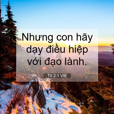 Picture 07 - Tít 2:1 VIE - Nhưng con hãy dạy điều hiệp với đạo - Bible Verse Picture
