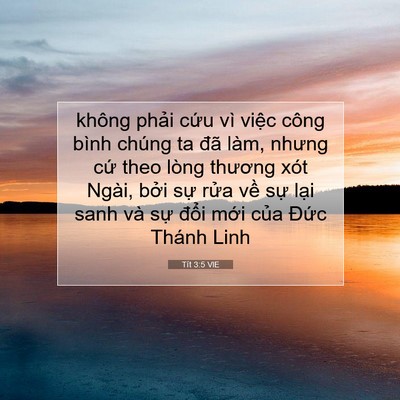 Picture 07 - Tít 3:5 VIE - không phải cứu vì việc công bình chúng - Bible Verse Picture