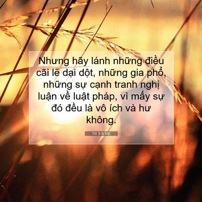 Picture 07 - Tít 3:9 VIE - Nhưng hãy lánh những điều cãi lẽ dại - Bible Verse Picture