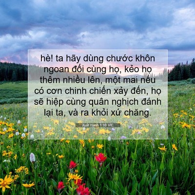 Picture 07 - Xuất Hành 1:10 VIE - hè! ta hãy dùng chước khôn ngoan đối - Bible Verse Picture