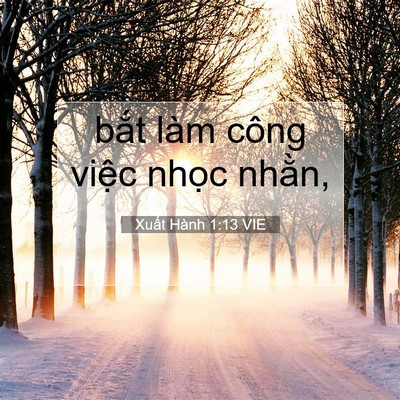 Picture 07 - Xuất Hành 1:13 VIE - bắt làm công việc nhọc - Bible Verse Picture