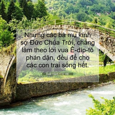 Picture 07 - Xuất Hành 1:17 VIE - Nhưng các bà mụ kính sợ Đức Chúa - Bible Verse Picture