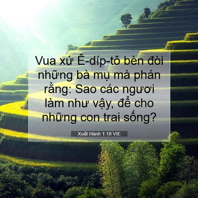 Picture 07 - Xuất Hành 1:18 VIE - Vua xứ Ê-díp-tô bèn đòi những bà mụ - Bible Verse Picture