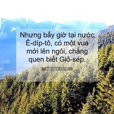 Picture 07 - Xuất Hành 1:8 VIE - Nhưng bấy giờ tại nước Ê-díp-tô, có - Bible Verse Picture