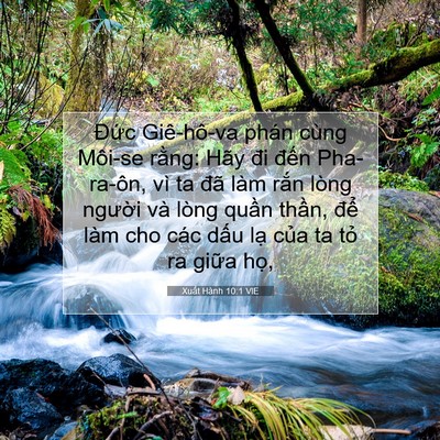 Picture 07 - Xuất Hành 10:1 VIE - Đức Giê-hô-va phán cùng Môi-se rằng: - Bible Verse Picture