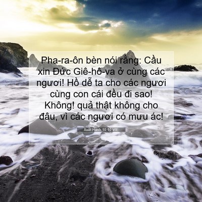 Picture 07 - Xuất Hành 10:10 VIE - Pha-ra-ôn bèn nói rằng: Cầu xin Đức - Bible Verse Picture
