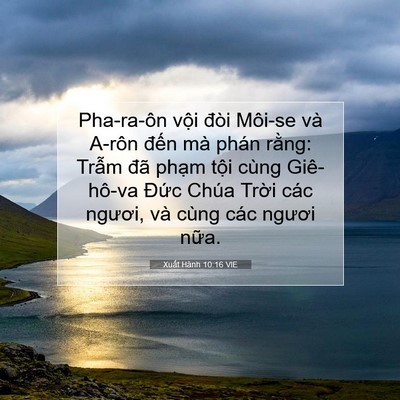 Picture 07 - Xuất Hành 10:16 VIE - Pha-ra-ôn vội đòi Môi-se và A-rôn đến - Bible Verse Picture