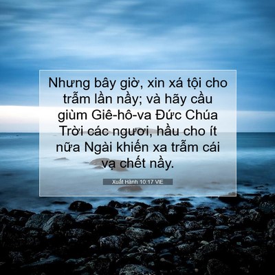 Picture 07 - Xuất Hành 10:17 VIE - Nhưng bây giờ, xin xá tội cho trẫm lần - Bible Verse Picture