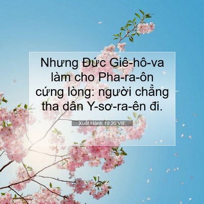 Picture 07 - Xuất Hành 10:20 VIE - Nhưng Đức Giê-hô-va làm cho Pha-ra-ôn - Bible Verse Picture