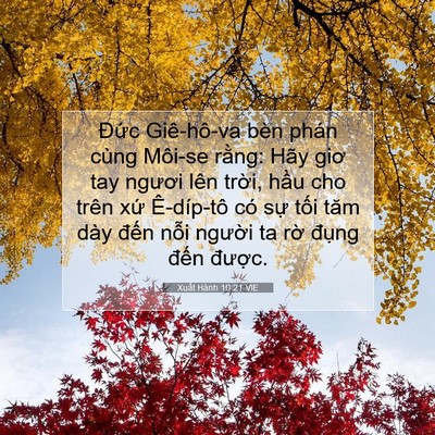 Picture 07 - Xuất Hành 10:21 VIE - Đức Giê-hô-va bèn phán cùng Môi-se - Bible Verse Picture