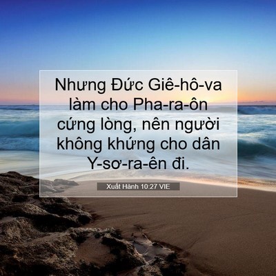 Picture 07 - Xuất Hành 10:27 VIE - Nhưng Đức Giê-hô-va làm cho Pha-ra-ôn - Bible Verse Picture