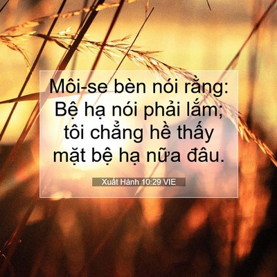 Picture 07 - Xuất Hành 10:29 VIE - Môi-se bèn nói rằng: Bệ hạ nói phải - Bible Verse Picture