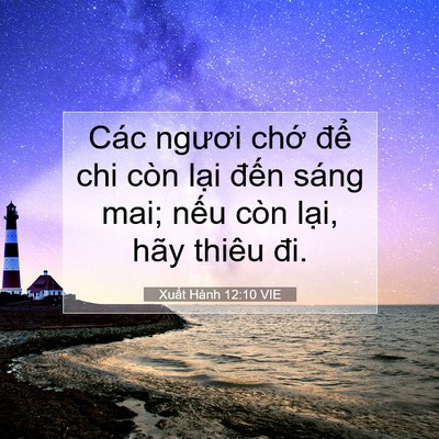 Picture 07 - Xuất Hành 12:10 VIE - Các ngươi chớ để chi còn lại đến - Bible Verse Picture