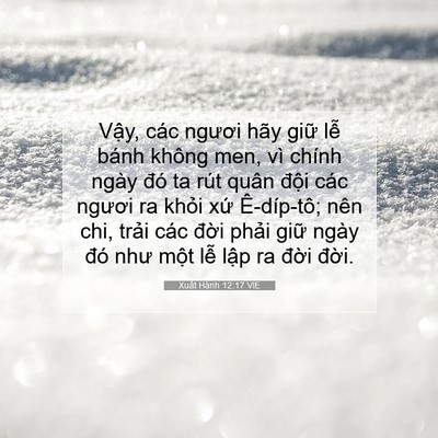 Picture 07 - Xuất Hành 12:17 VIE - Vậy, các ngươi hãy giữ lễ bánh không - Bible Verse Picture