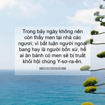 Picture 07 - Xuất Hành 12:19 VIE - Trong bảy ngày không nên còn thấy men - Bible Verse Picture
