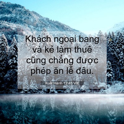 Picture 07 - Xuất Hành 12:45 VIE - Khách ngoại bang và kẻ làm thuê cũng - Bible Verse Picture