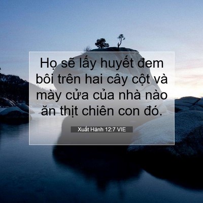 Picture 07 - Xuất Hành 12:7 VIE - Họ sẽ lấy huyết đem bôi trên hai cây - Bible Verse Picture