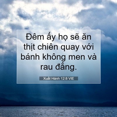 Picture 07 - Xuất Hành 12:8 VIE - Đêm ấy họ sẽ ăn thịt chiên quay với - Bible Verse Picture