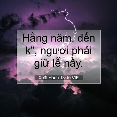 Picture 07 - Xuất Hành 13:10 VIE - Hằng năm, đến k”, ngươi phải giữ - Bible Verse Picture