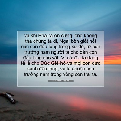 Picture 07 - Xuất Hành 13:15 VIE - và khi Pha-ra-ôn cứng lòng không tha chúng - Bible Verse Picture