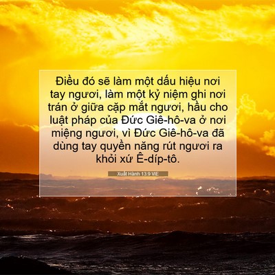 Picture 07 - Xuất Hành 13:9 VIE - Điều đó sẽ làm một dấu hiệu nơi - Bible Verse Picture