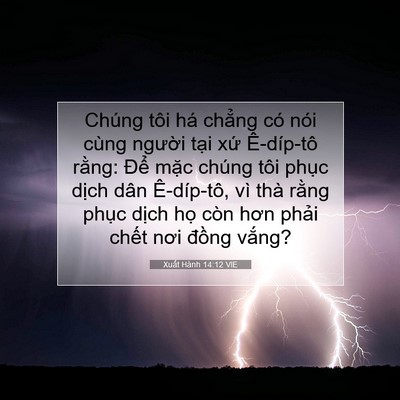 Picture 07 - Xuất Hành 14:12 VIE - Chúng tôi há chẳng có nói cùng người - Bible Verse Picture