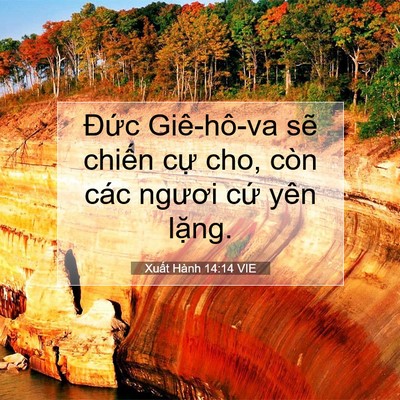 Picture 07 - Xuất Hành 14:14 VIE - Đức Giê-hô-va sẽ chiến cự cho, còn - Bible Verse Picture