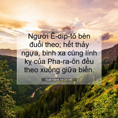 Picture 07 - Xuất Hành 14:23 VIE - Người Ê-díp-tô bèn đuổi theo; hết - Bible Verse Picture