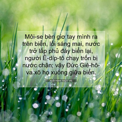 Picture 07 - Xuất Hành 14:27 VIE - Môi-se bèn giơ tay mình ra trên biển, - Bible Verse Picture
