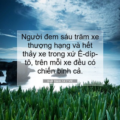 Picture 07 - Xuất Hành 14:7 VIE - Người đem sáu trăm xe thượng hạng và - Bible Verse Picture