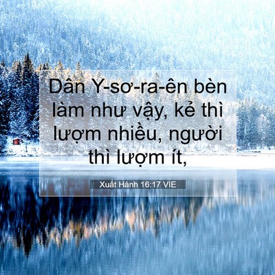 Picture 07 - Xuất Hành 16:17 VIE - Dân Y-sơ-ra-ên bèn làm như vậy, kẻ thì - Bible Verse Picture