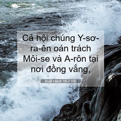 Picture 07 - Xuất Hành 16:2 VIE - Cả hội chúng Y-sơ-ra-ên oán trách - Bible Verse Picture