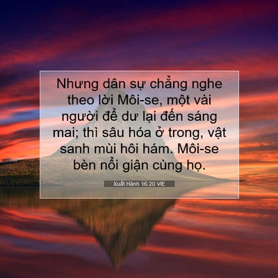 Picture 07 - Xuất Hành 16:20 VIE - Nhưng dân sự chẳng nghe theo lời Môi-se, - Bible Verse Picture