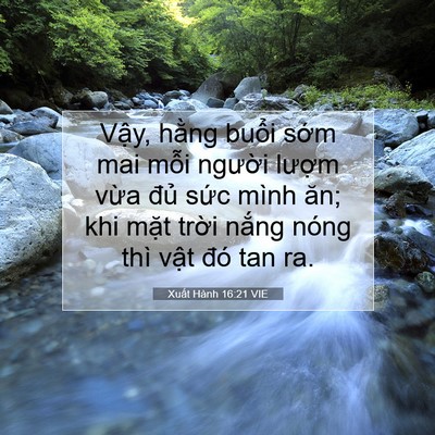 Picture 07 - Xuất Hành 16:21 VIE - Vậy, hằng buổi sớm mai mỗi người - Bible Verse Picture