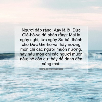 Picture 07 - Xuất Hành 16:23 VIE - Người đáp rằng: Aáy là lời Đức - Bible Verse Picture