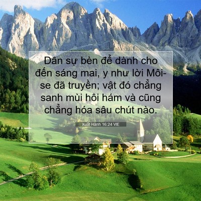 Picture 07 - Xuất Hành 16:24 VIE - Dân sự bèn để dành cho đến sáng mai, - Bible Verse Picture
