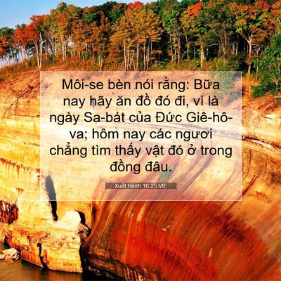 Picture 07 - Xuất Hành 16:25 VIE - Môi-se bèn nói rằng: Bữa nay hãy ăn - Bible Verse Picture