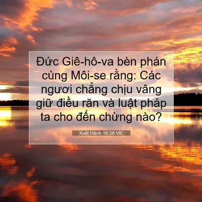 Picture 07 - Xuất Hành 16:28 VIE - Đức Giê-hô-va bèn phán cùng Môi-se - Bible Verse Picture
