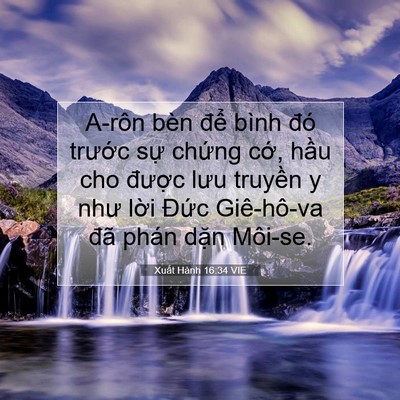Picture 07 - Xuất Hành 16:34 VIE - A-rôn bèn để bình đó trước sự - Bible Verse Picture