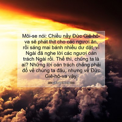Picture 07 - Xuất Hành 16:8 VIE - Môi-se nói: Chiều nầy Đức Giê-hô-va - Bible Verse Picture