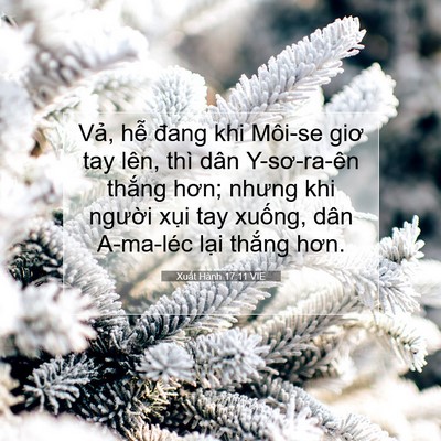 Picture 07 - Xuất Hành 17:11 VIE - Vả, hễ đang khi Môi-se giơ tay lên, thì - Bible Verse Picture