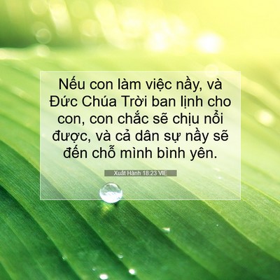 Picture 07 - Xuất Hành 18:23 VIE - Nếu con làm việc nầy, và Đức Chúa - Bible Verse Picture
